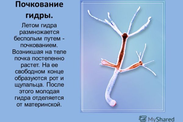 Как найти сайт кракен