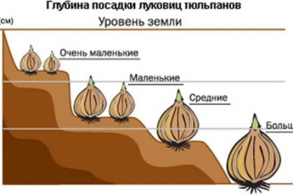 Как через сафари зайти на кракен