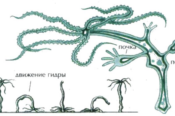 Кракен площадка даркнет