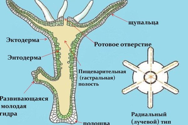 Как через сафари зайти на кракен