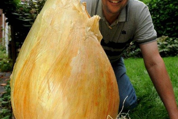 Через какой браузер зайти на кракен